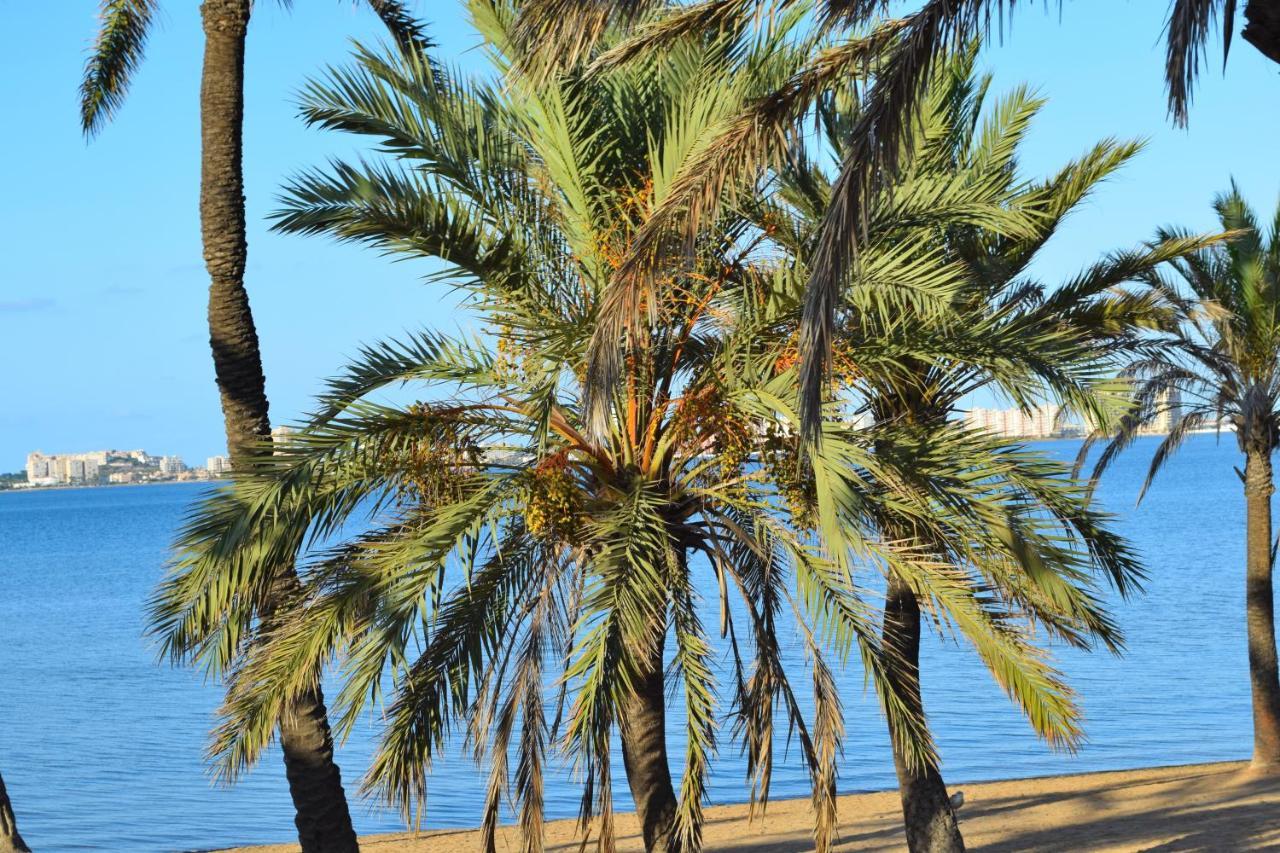 Bungalow En Camping De La Manga المظهر الخارجي الصورة